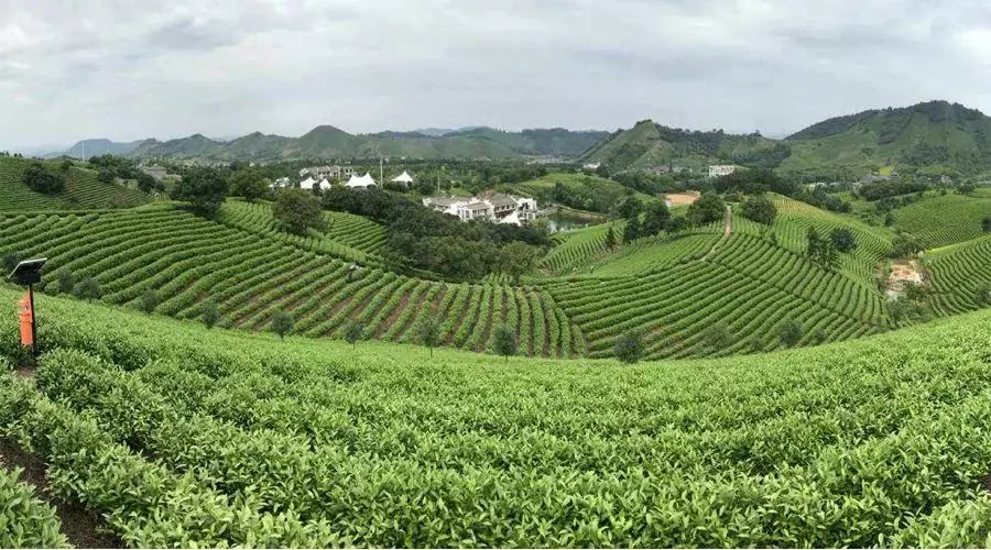 【4天五一小長(zhǎng)假攻略】-西尼機(jī)電預(yù)祝各位“五一勞動(dòng)節(jié)”快樂！